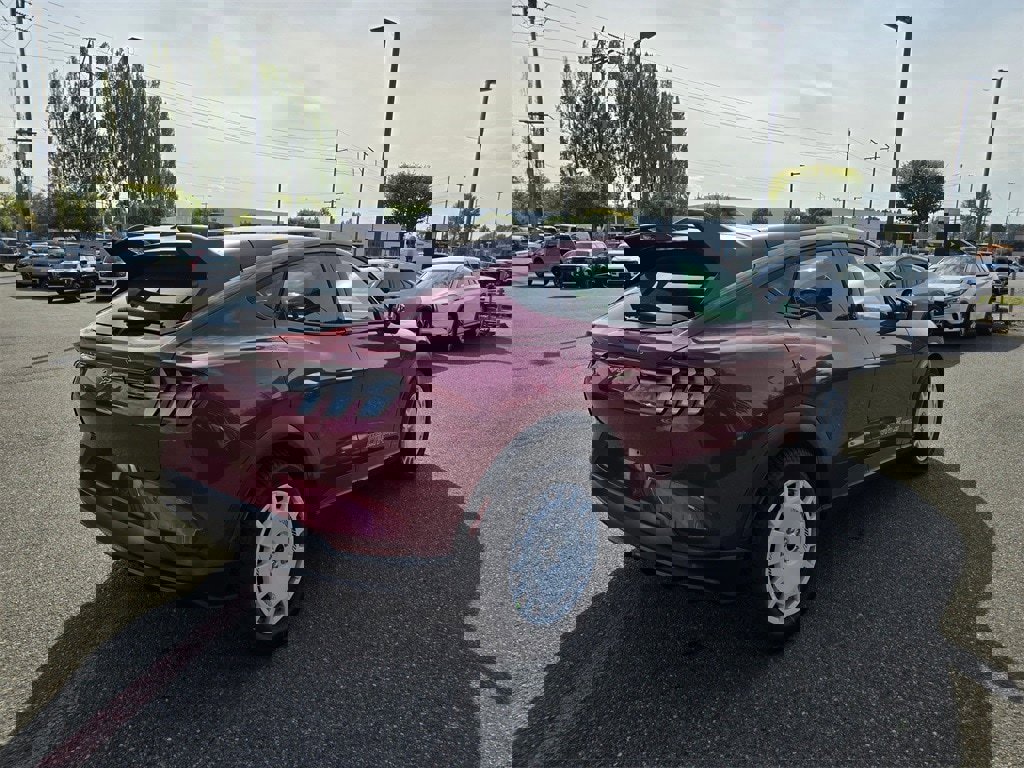 New 2025 Ford Mustang Mach-E GT w/ Interior Protection Package image 5