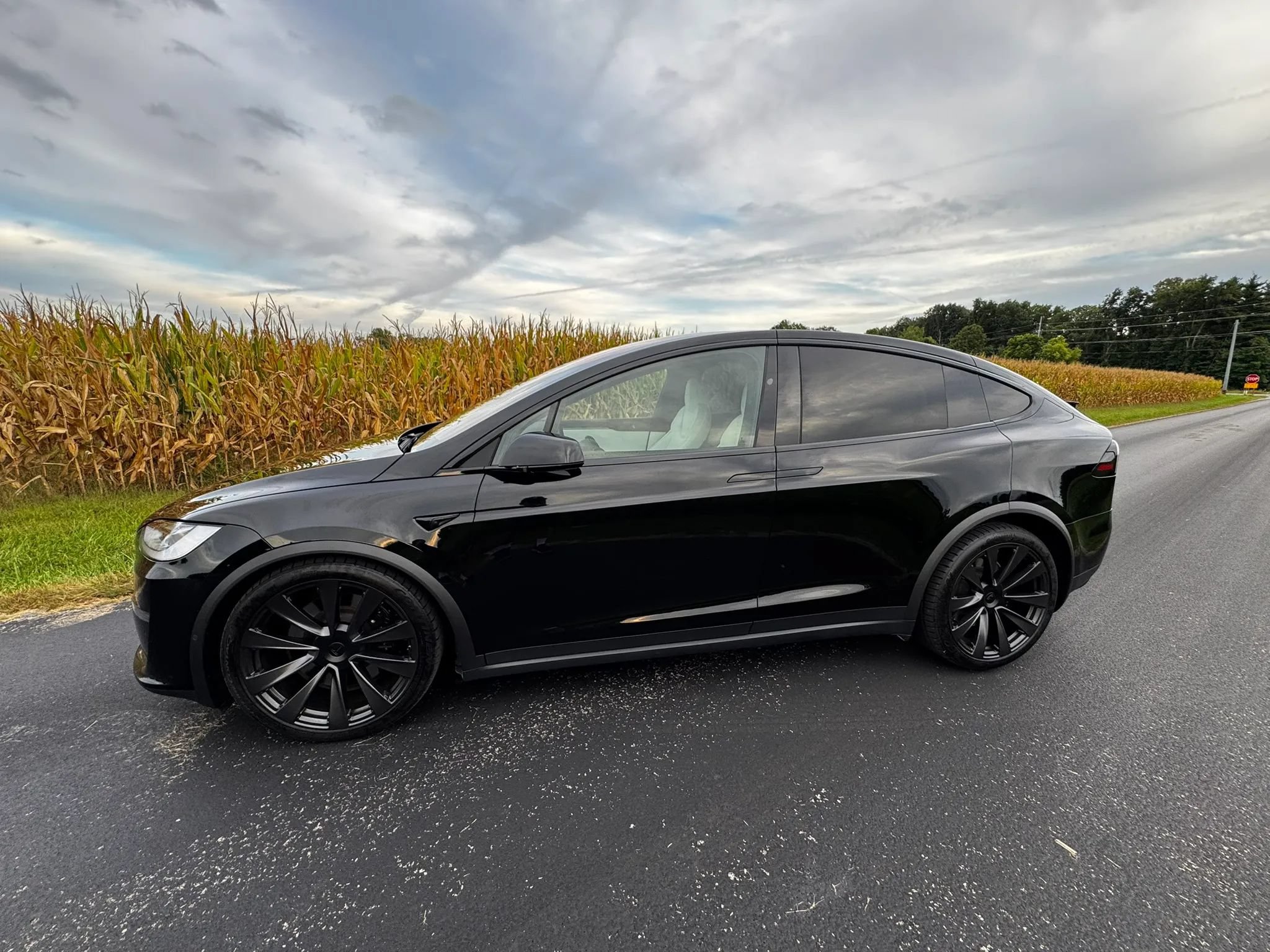 Used 2022 Tesla Model X Plaid AWD/4WD image 2