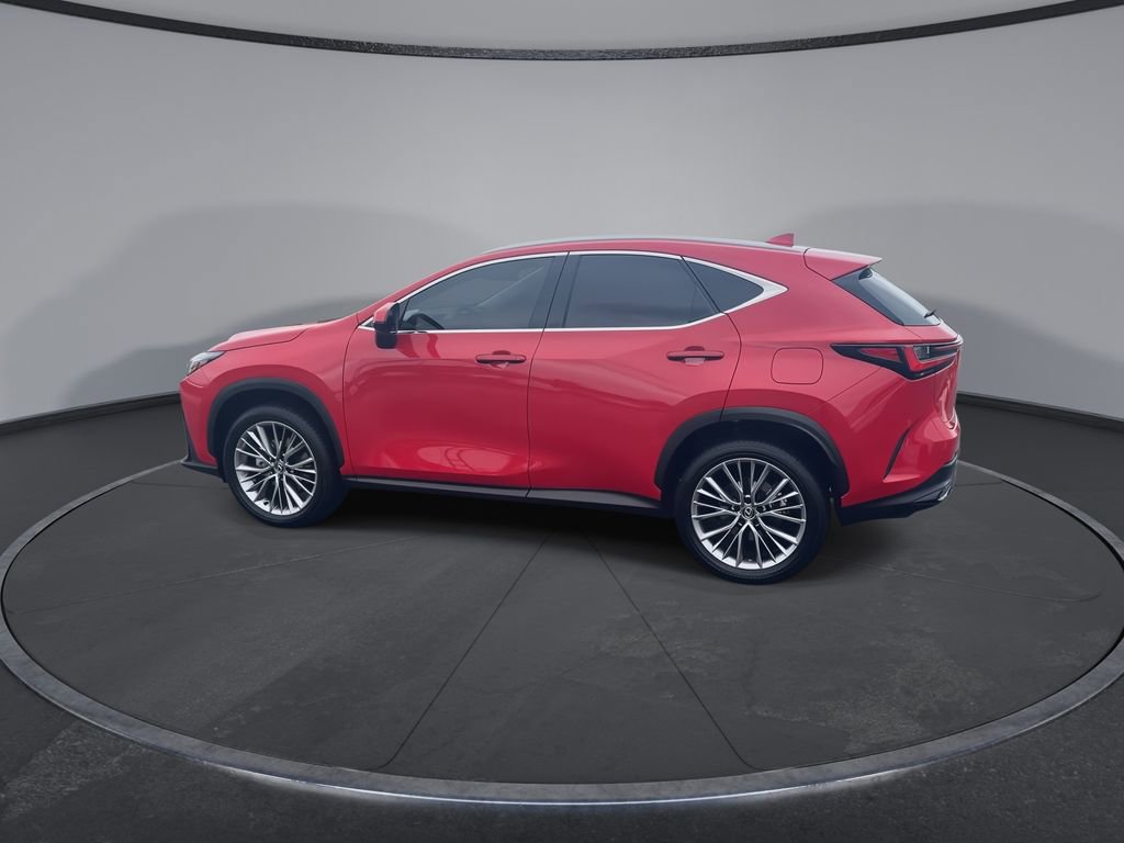 Used 2025 Lexus NX 350h AWD w/ Cold Area Package image 5