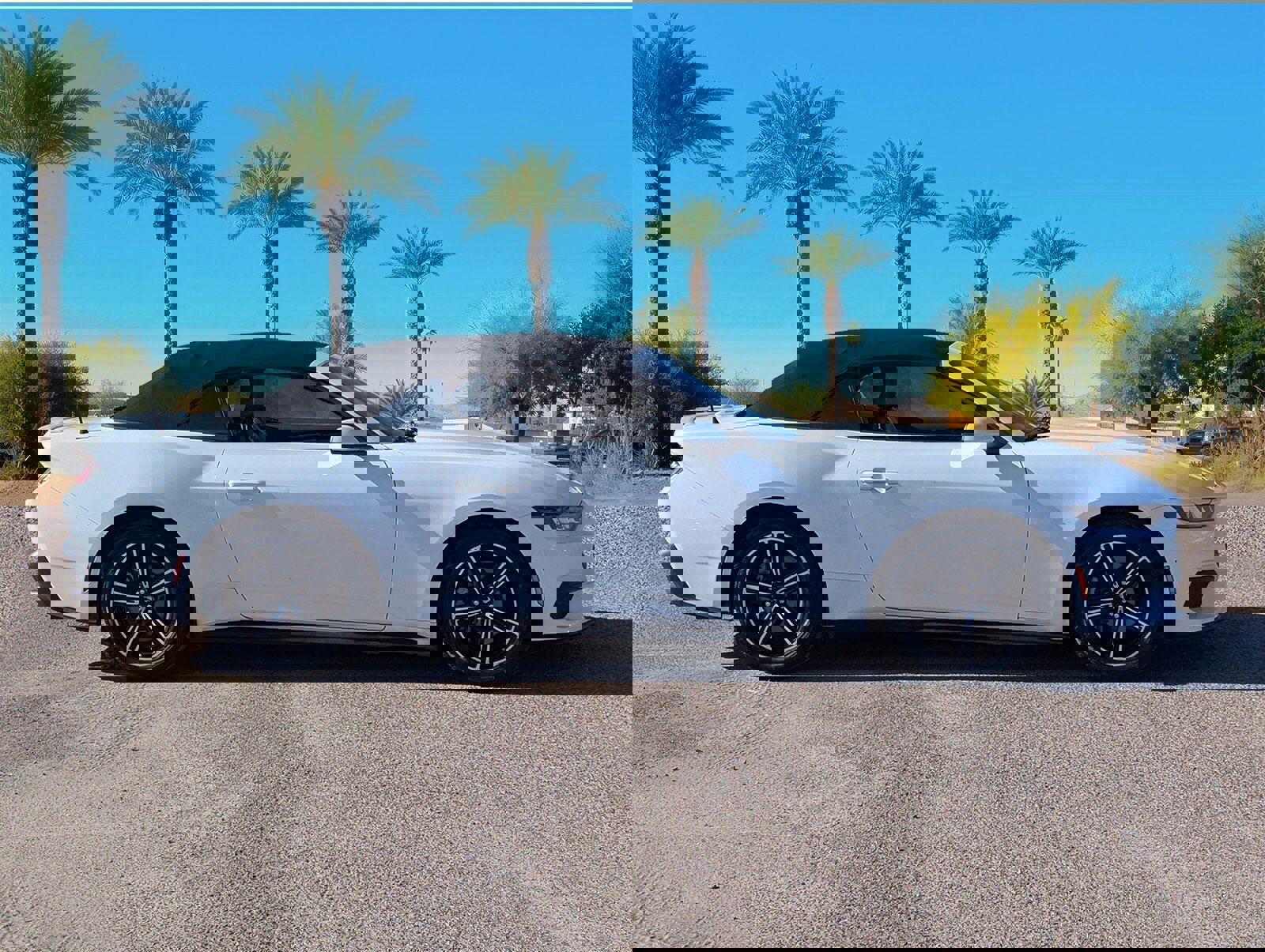 Certified 2024 Ford Mustang Premium image 6