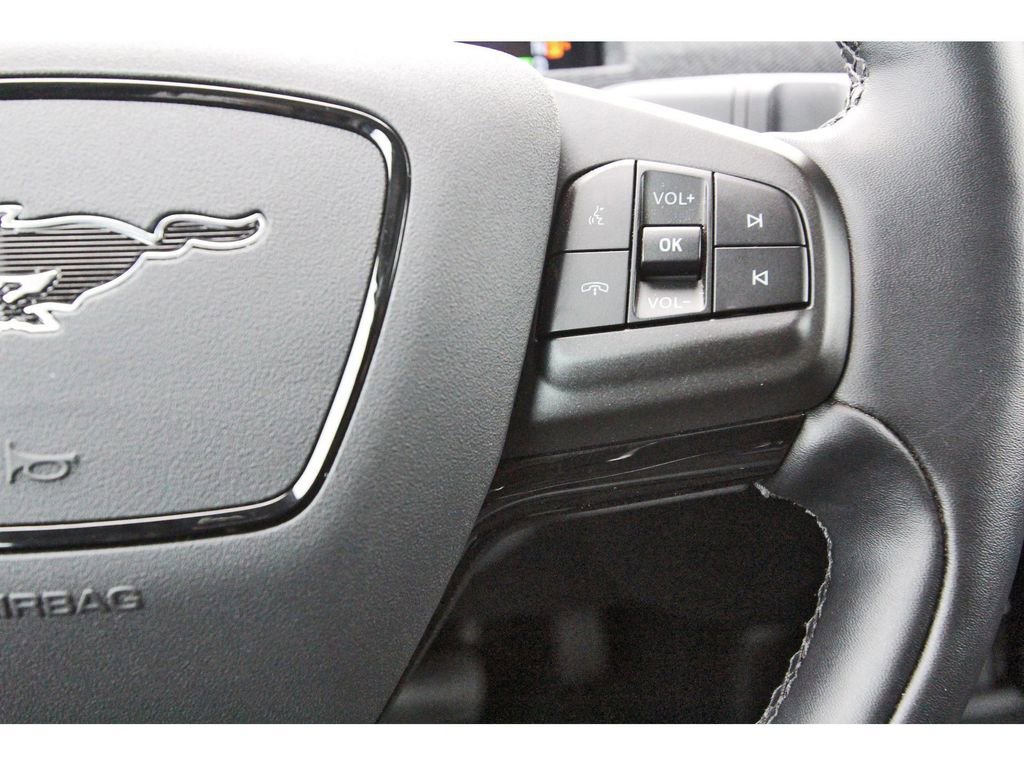 Used 2025 Ford Mustang Mach-E Premium RWD image 20