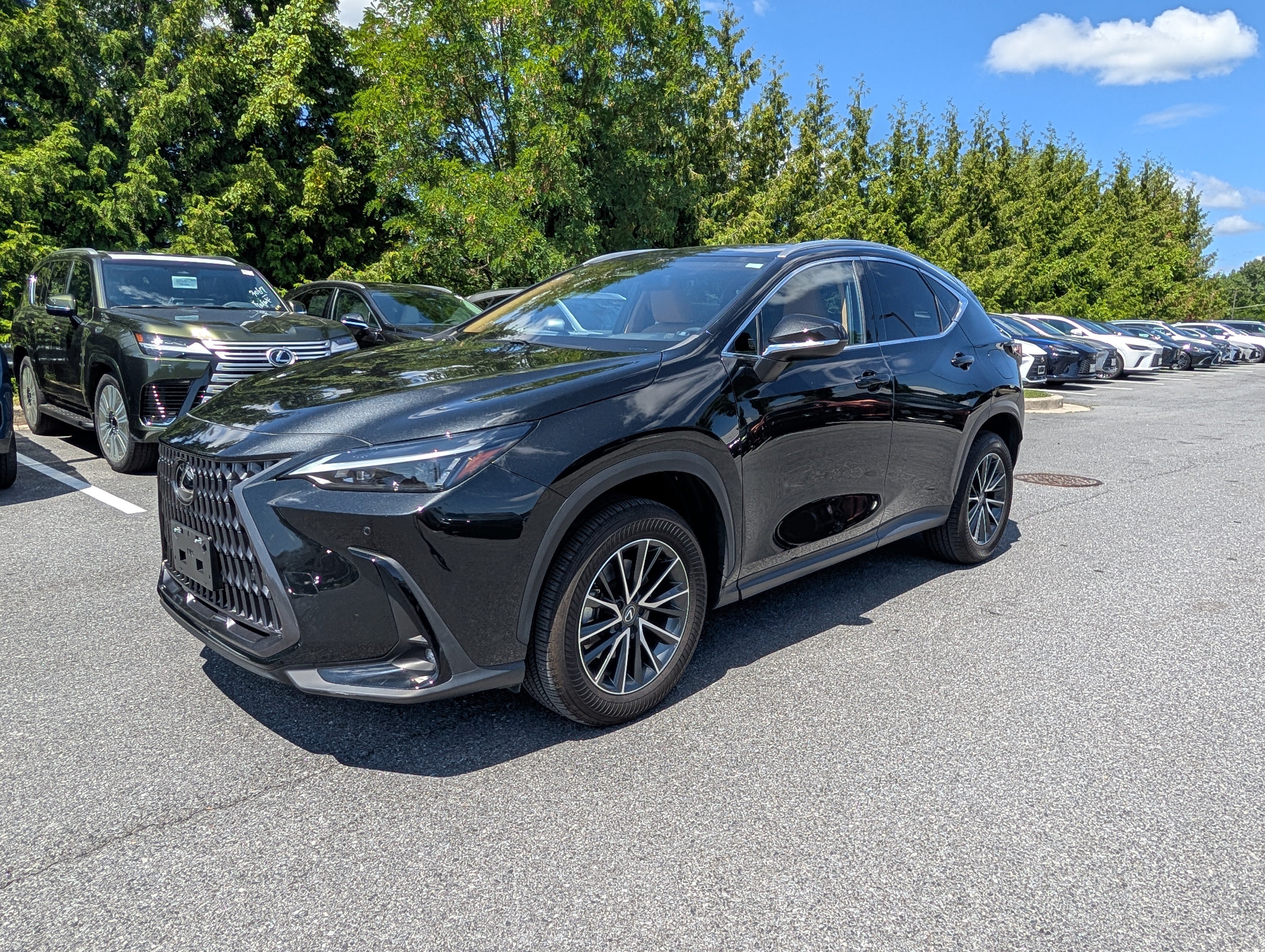 Certified 2024 Lexus NX 350h AWD image 7