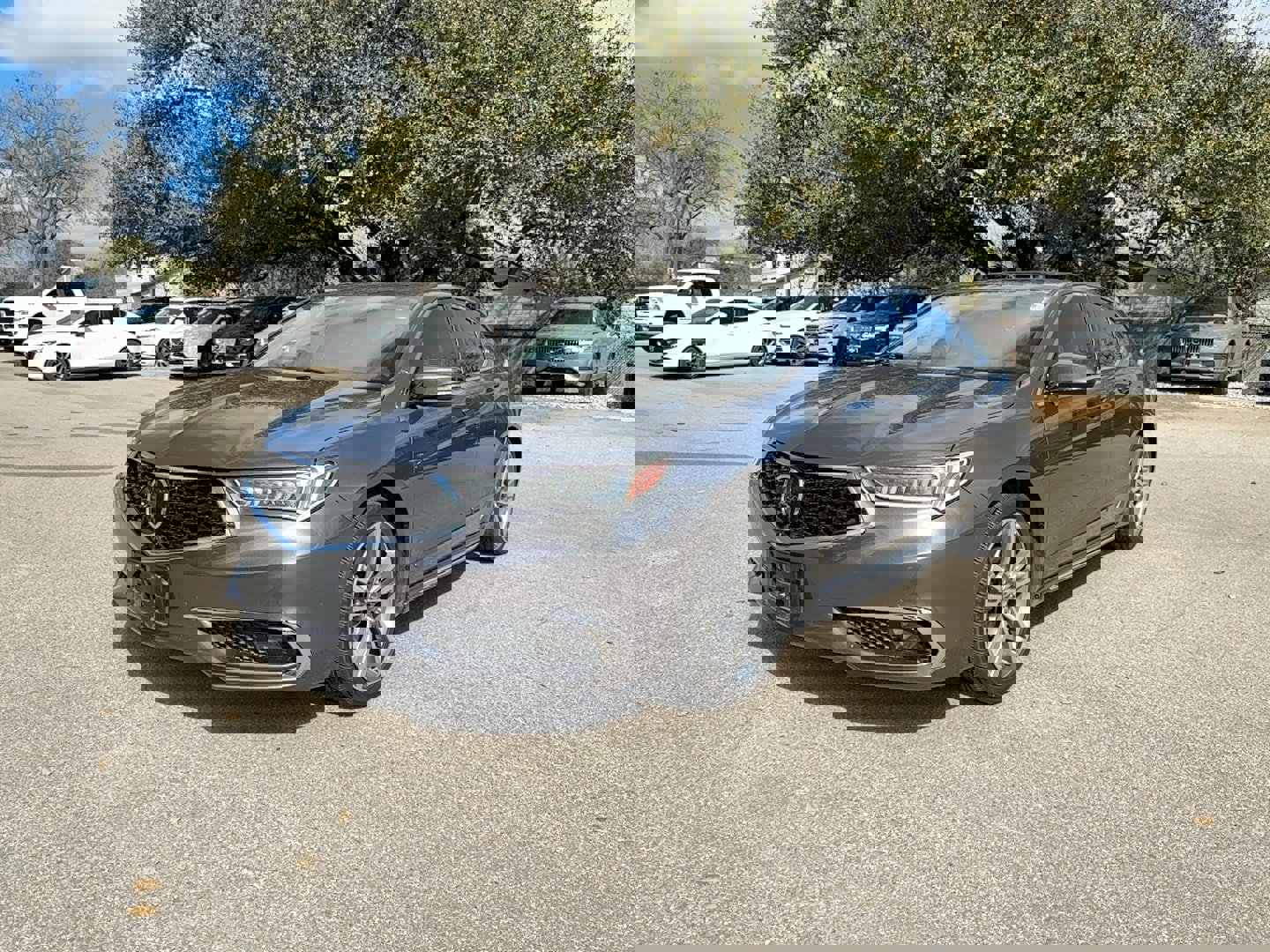 Used 2019 Acura TLX V6 w/ Advance Package image 2