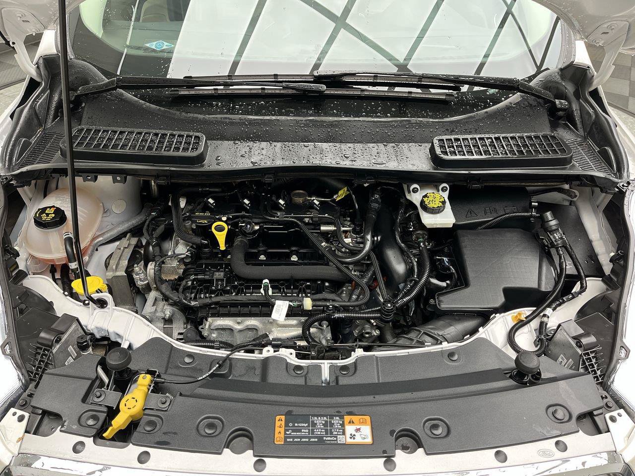 Used 2019 Ford Escape SEL AWD/4WD image 26