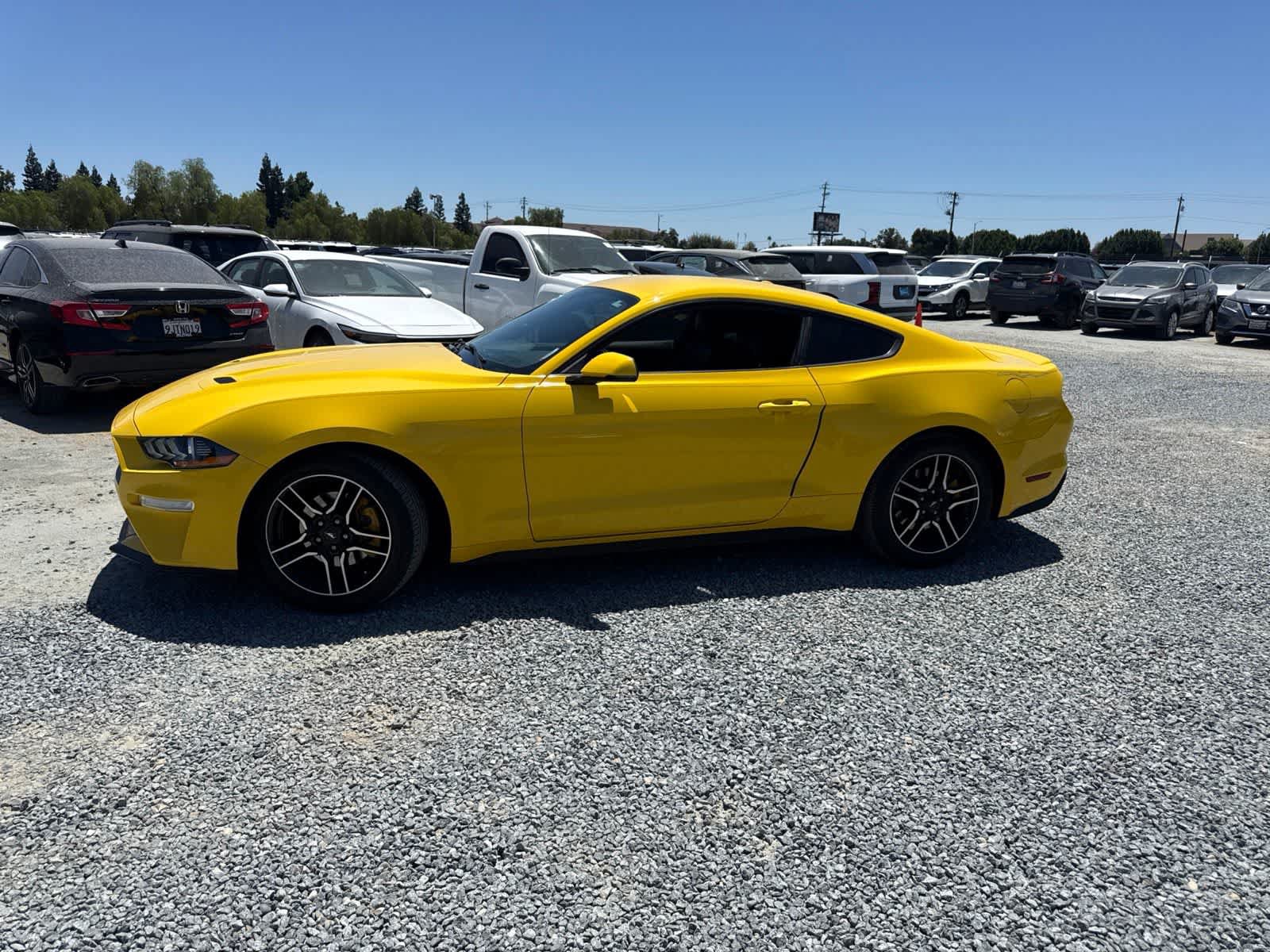 Used 2018 Ford Mustang Premium w/ Equipment Group 201A RWD image 8