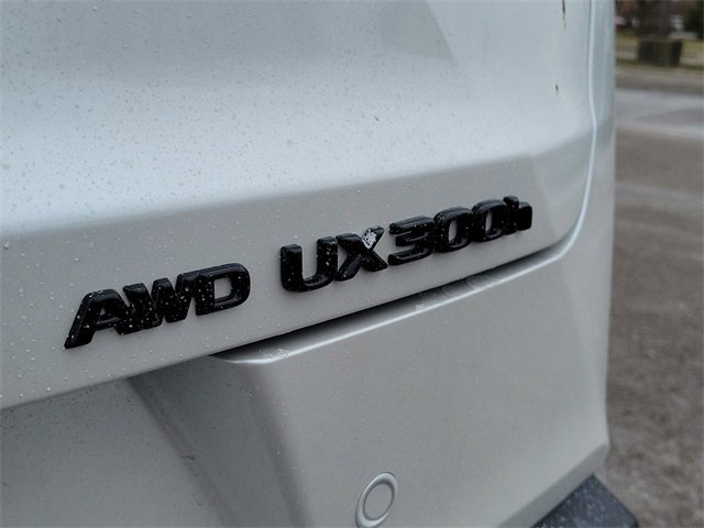 New 2025 Lexus UX 300h 300h Premium image 6