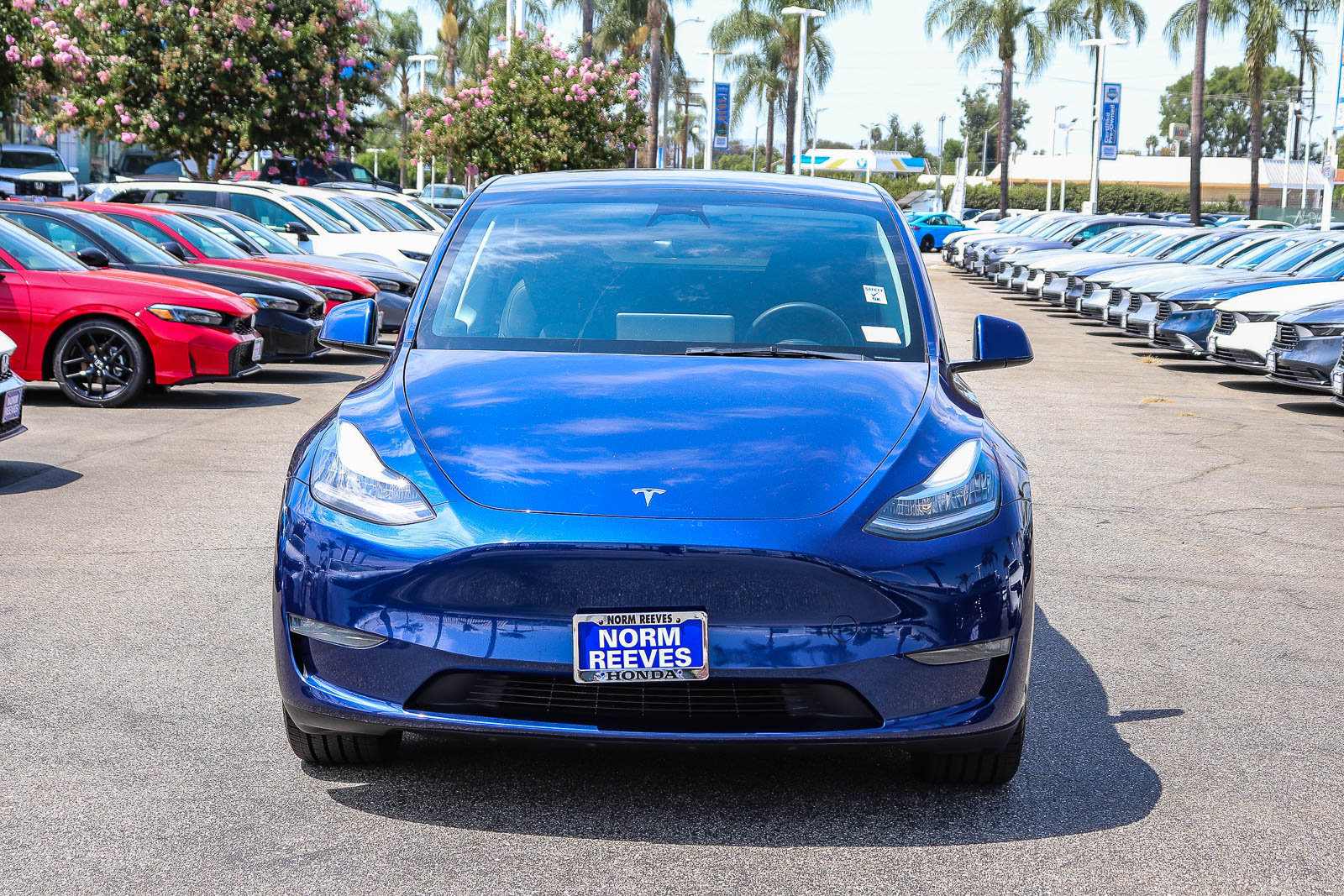 Used 2023 Tesla Model Y Long Range AWD/4WD image 2