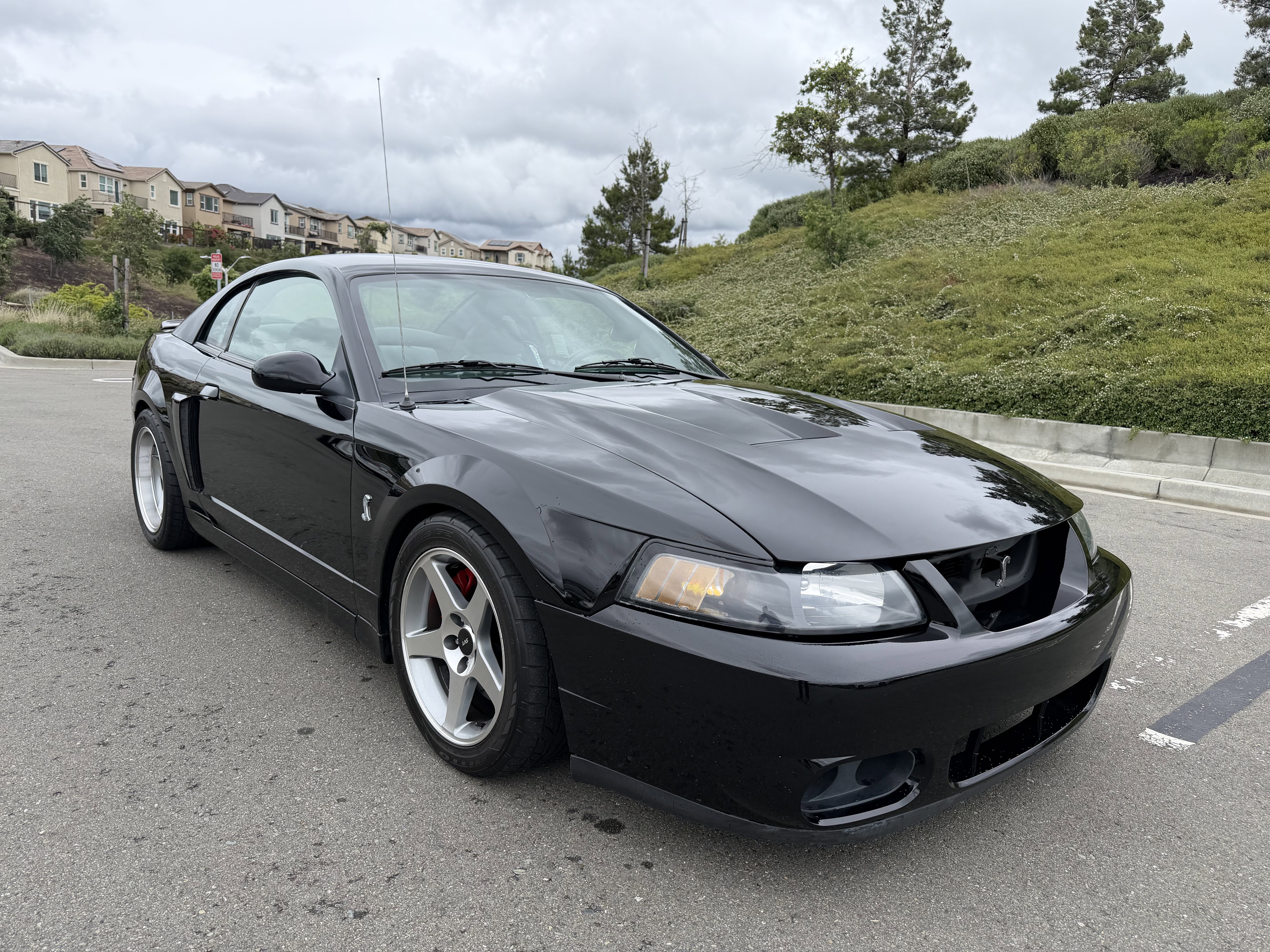 Used 2003 Ford Mustang Cobra RWD image 8