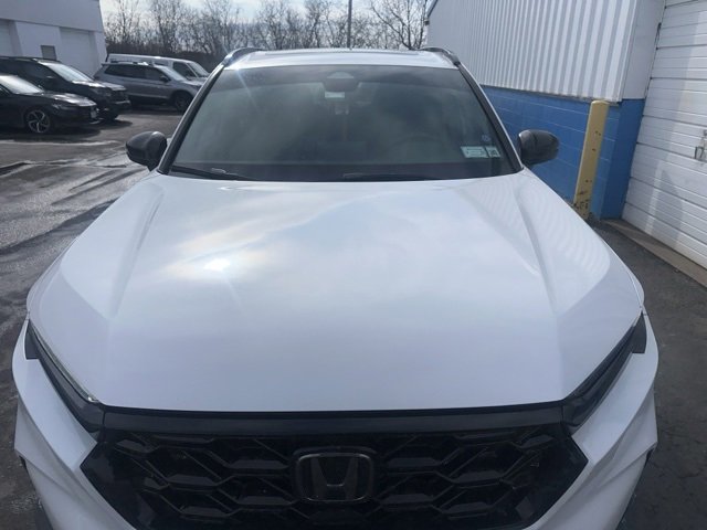 Used 2024 Honda CR-V Sport image 3