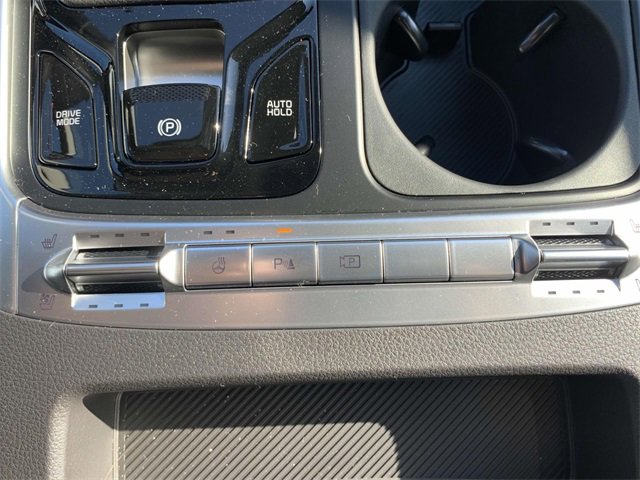 New 2025 Kia Carnival SX Prestige image 22