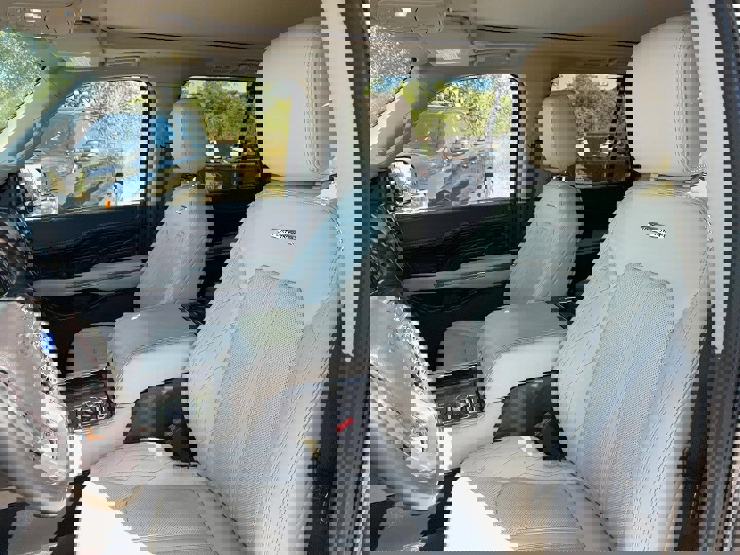 Used 2018 Ford Expedition Platinum image 19