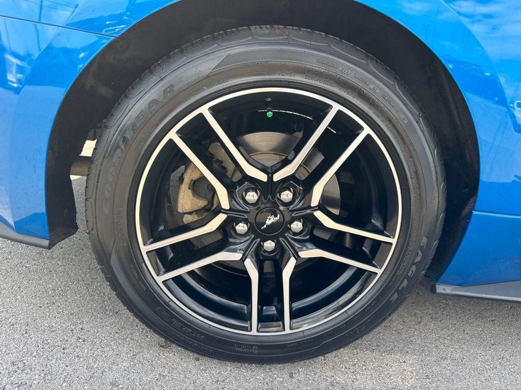 Used 2019 Ford Mustang Coupe w/ Equipment Group 101A RWD image 24