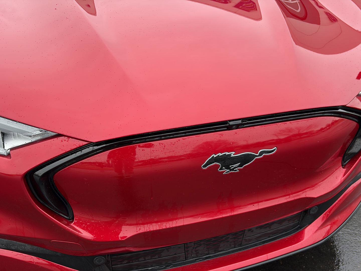 Used 2021 Ford Mustang Mach-E Premium image 24