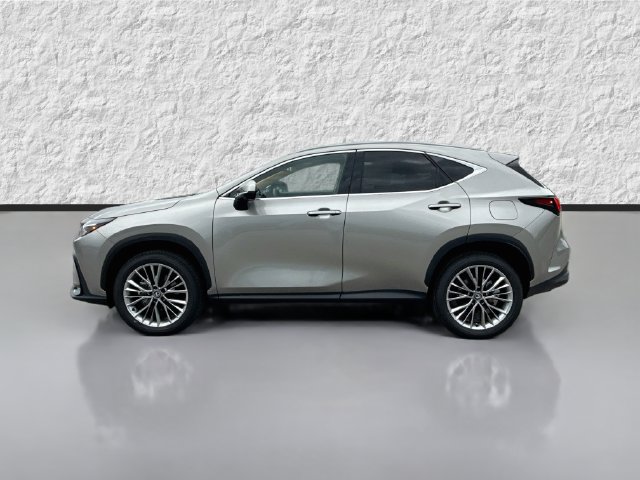 New 2026 Lexus NX 350 AWD w/ Accessory Package (2T) image 6