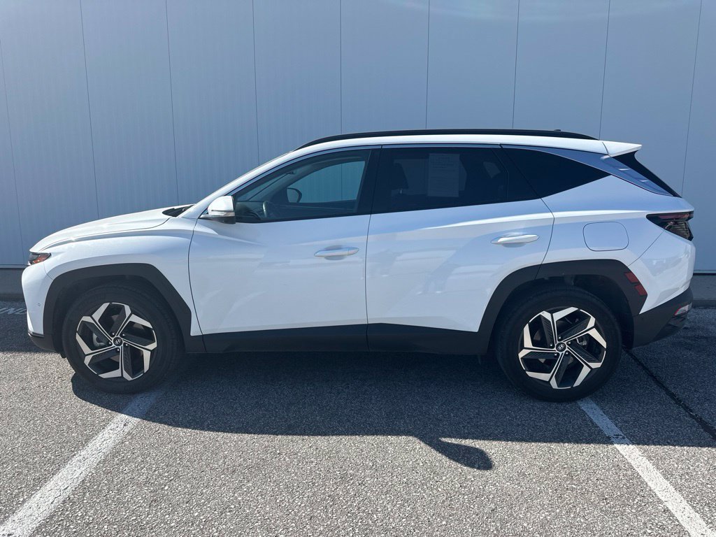 Used 2024 Hyundai Tucson Limited AWD/4WD image 3