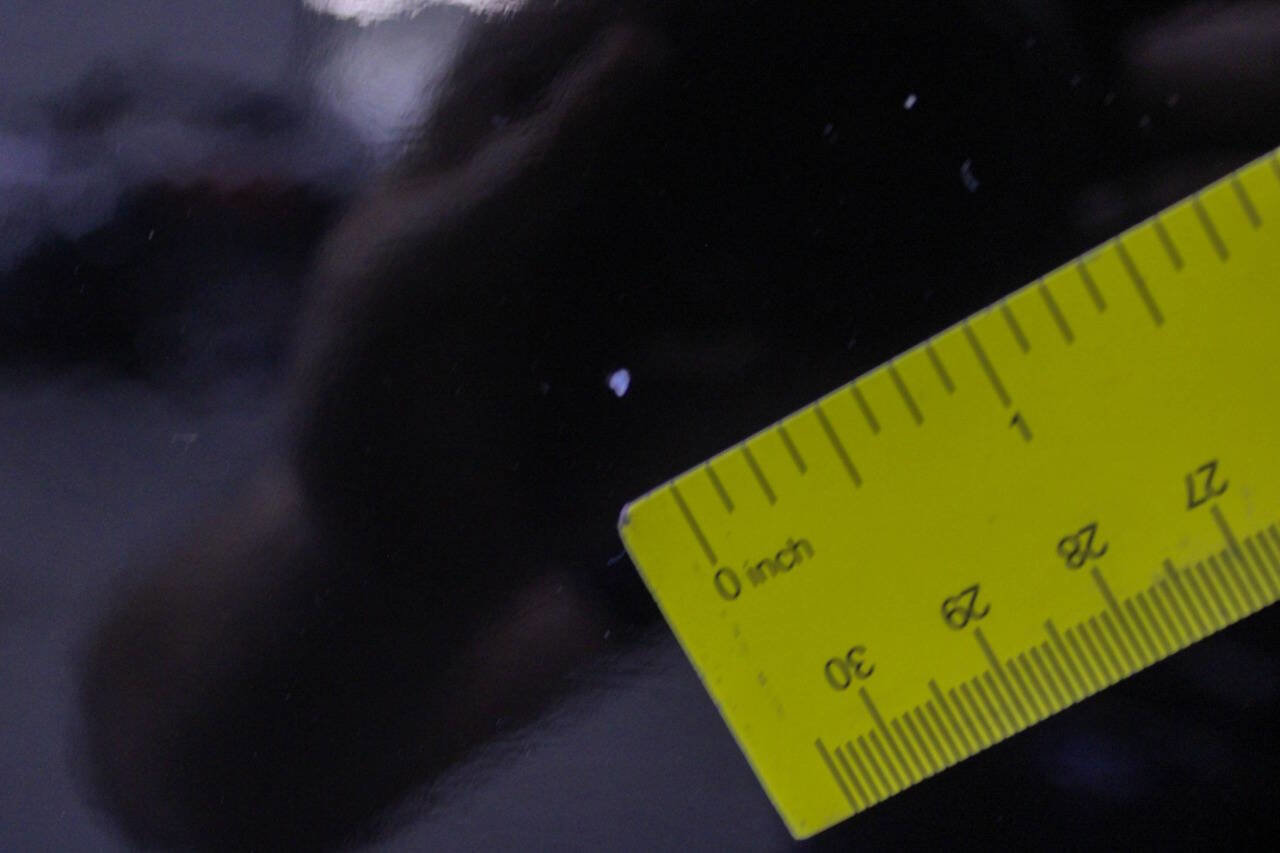 Used 1999 Dodge Dakota Sport image 27