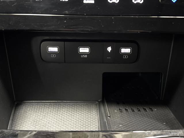 Used 2024 Kia Carnival SX Prestige image 24