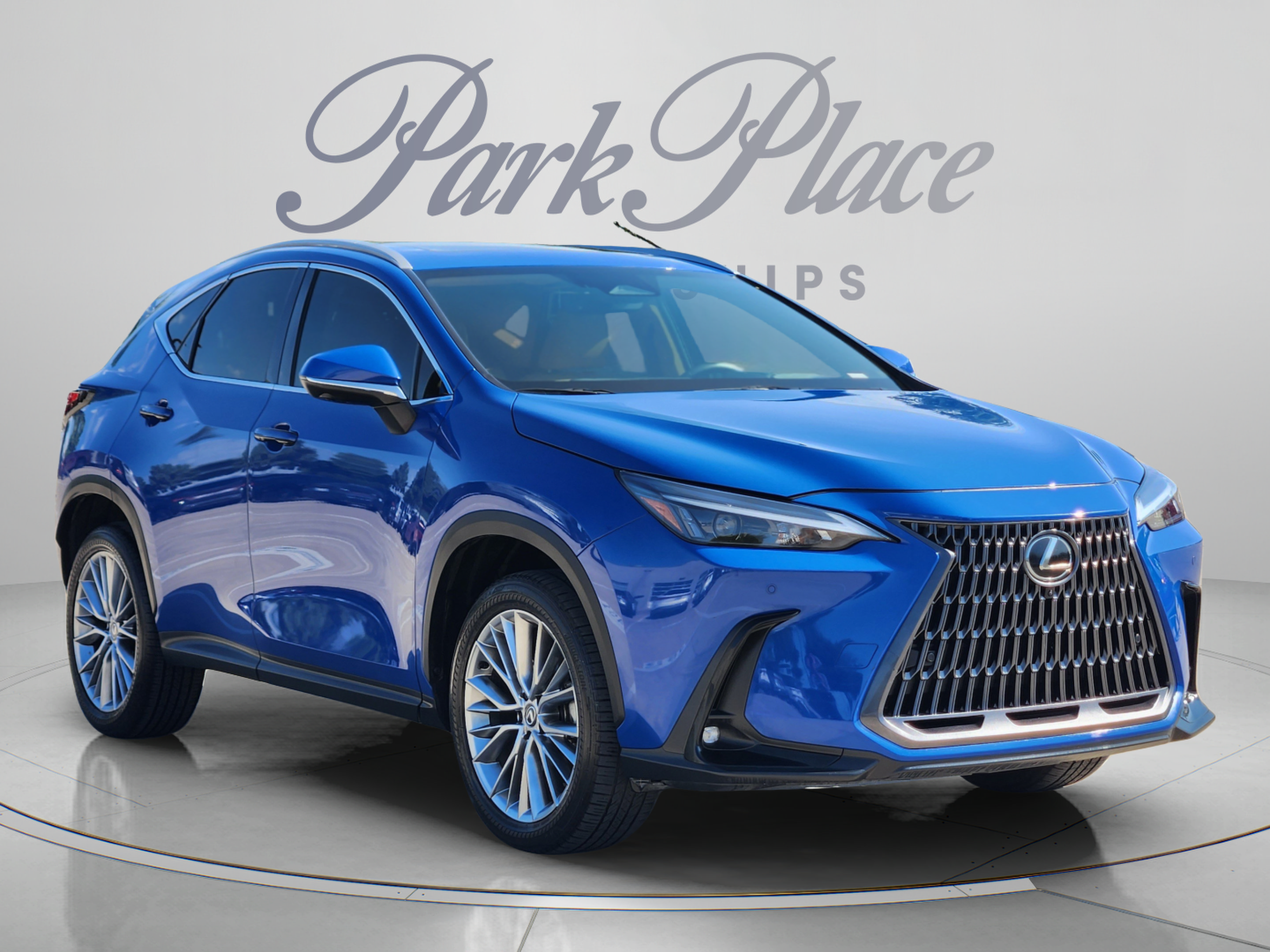Certified 2025 Lexus NX 350 AWD w/ Cold Area Package image 4