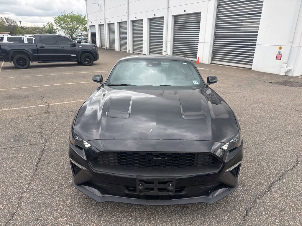Used 2023 Ford Mustang Premium w/ Equipment Group 201A RWD image 5