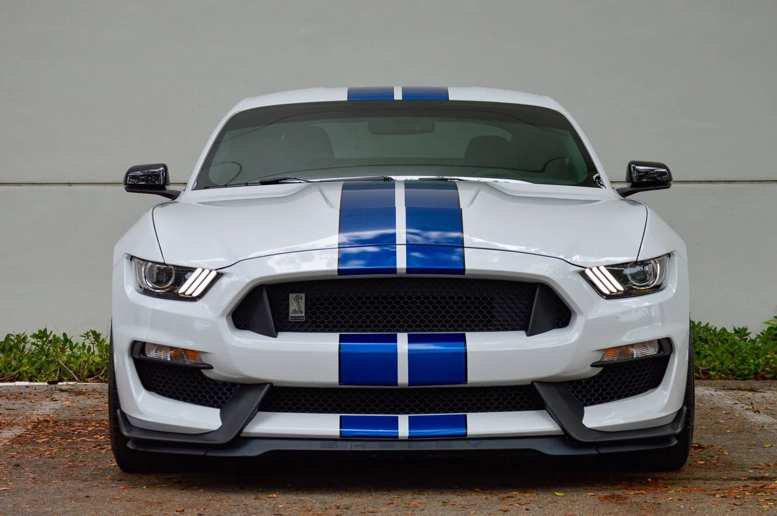 Used 2018 Ford Mustang Shelby GT350 w/ Convenience Package RWD image 25
