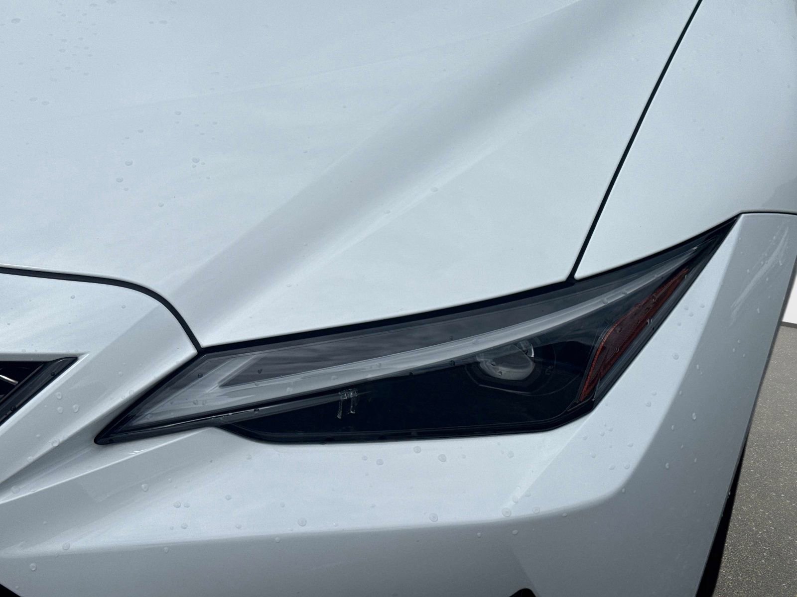 Used 2024 Lexus IS 350 F Sport RWD image 9