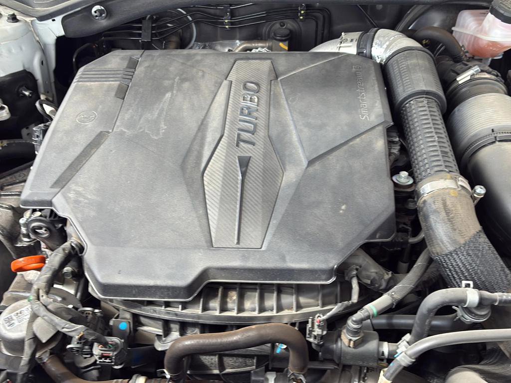 Used 2024 Kia Sorento X-Line EX AWD/4WD image 44
