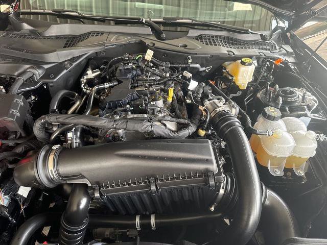 Certified 2025 Ford Mustang Premium image 15