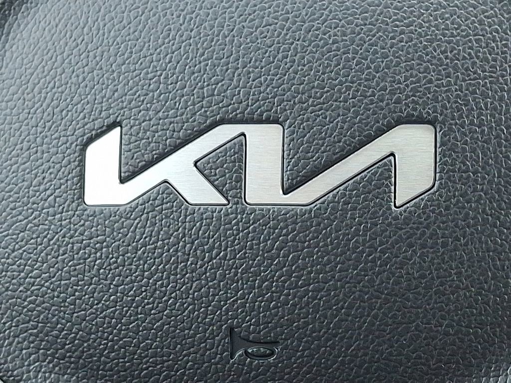 New 2026 Kia Carnival EX image 20