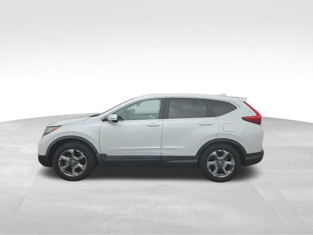 Used 2019 Honda CR-V EX-L image 5
