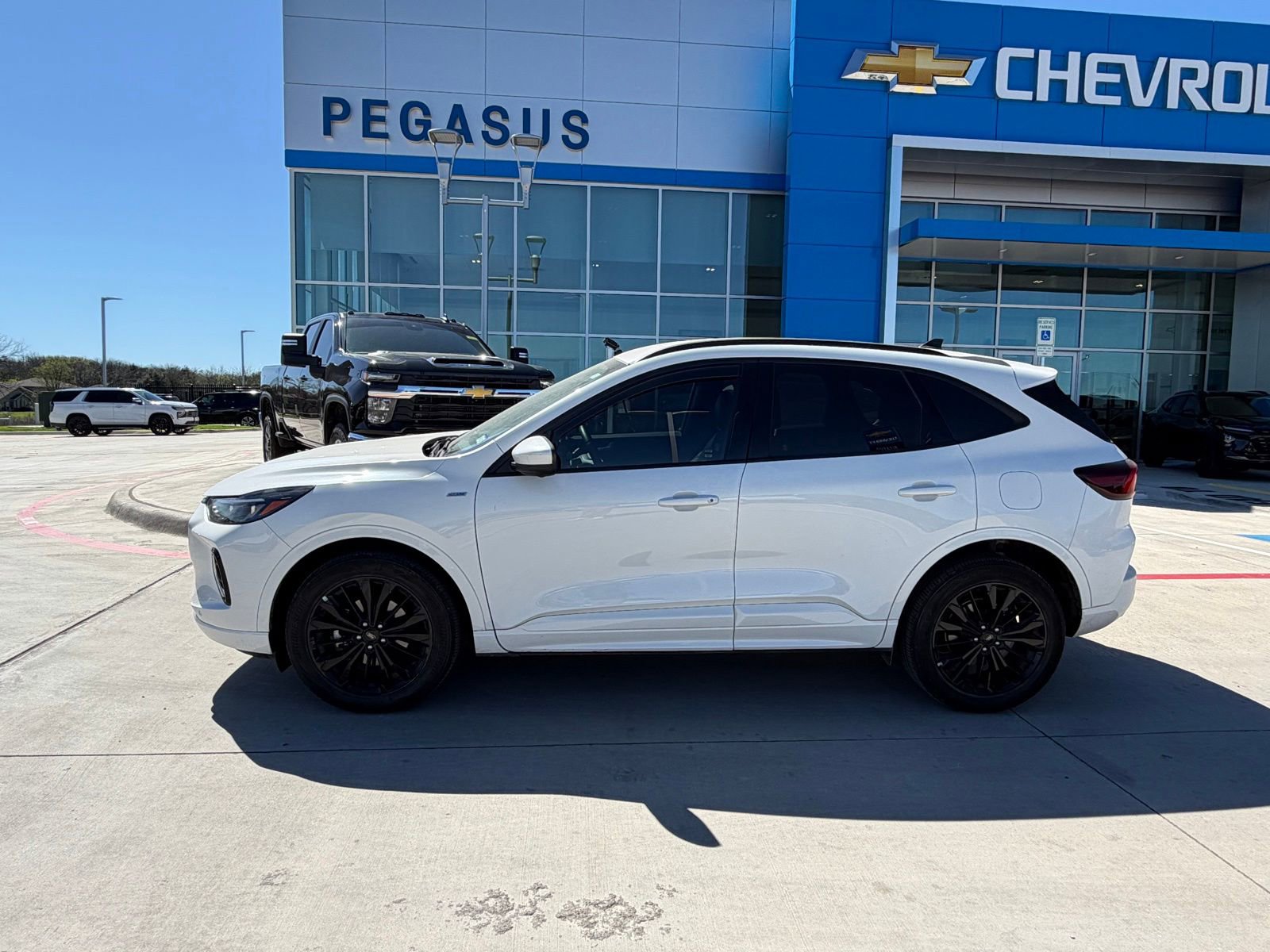 Used 2023 Ford Escape ST-Line Elite video 2