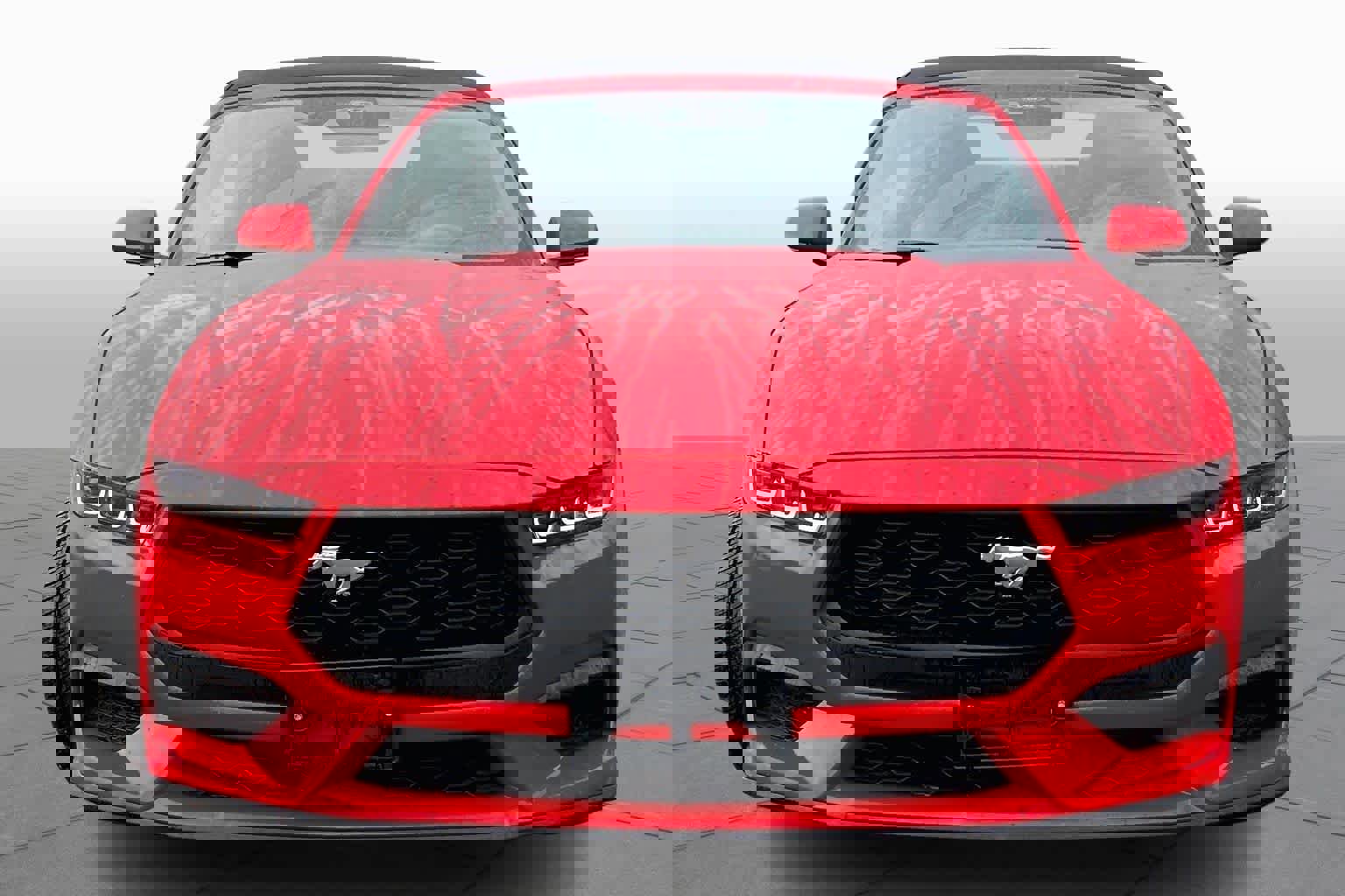 Used 2024 Ford Mustang Premium image 4