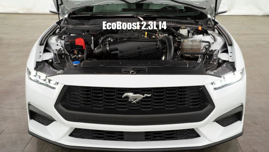 Used 2024 Ford Mustang Premium image 3