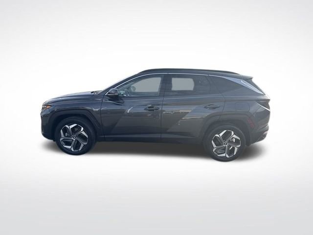 Certified 2023 Hyundai Tucson Limited image 2