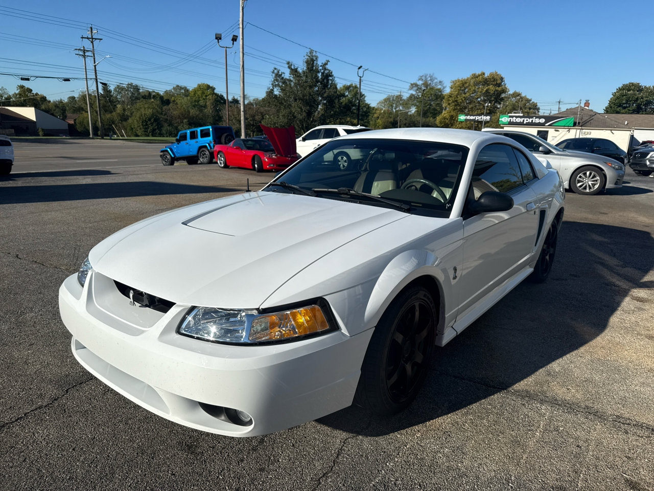 Used 1999 Ford Mustang Cobra image 12
