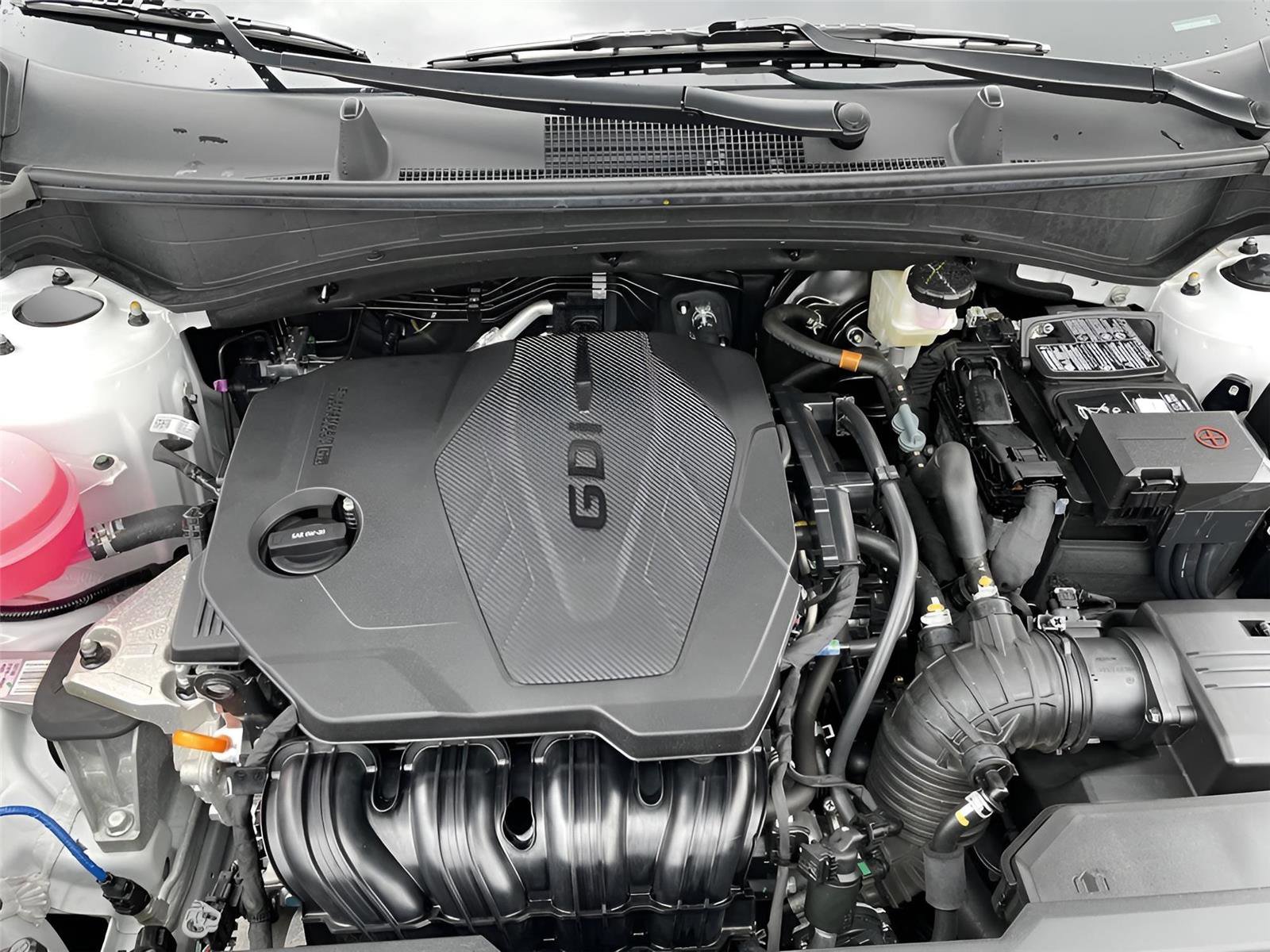 Used 2025 Kia Sportage X-Line image 12