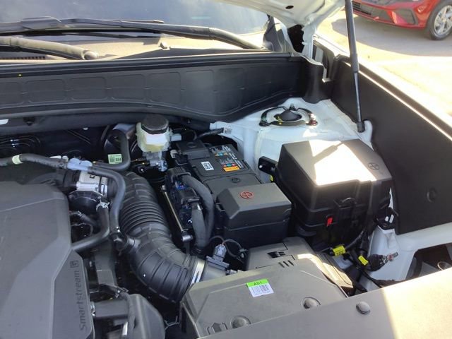 New 2026 Hyundai Palisade Calligraphy image 19