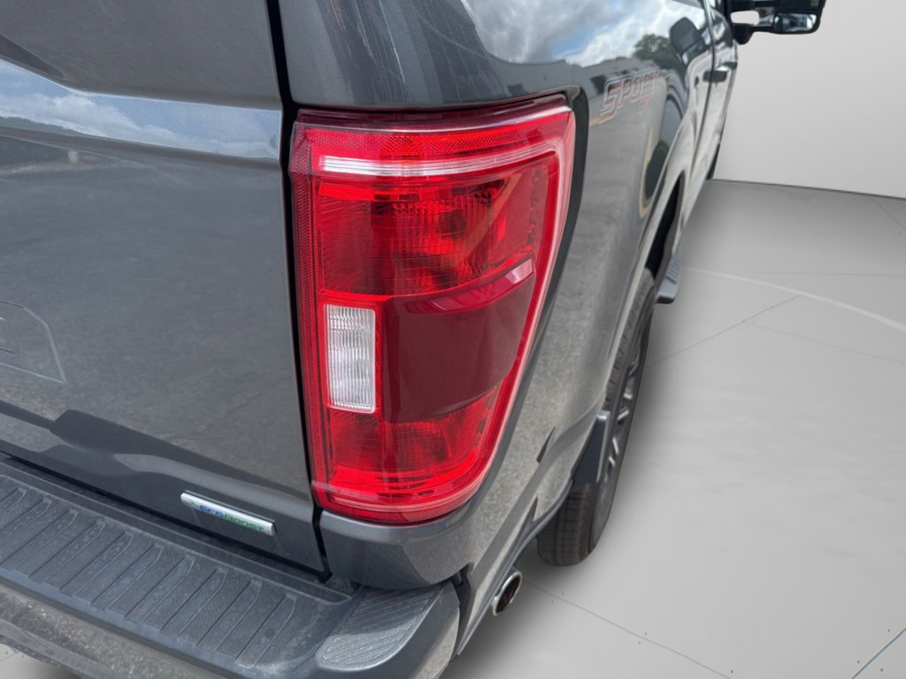 Used 2023 Ford F150 XLT w/ Equipment Group 302A High AWD/4WD image 36