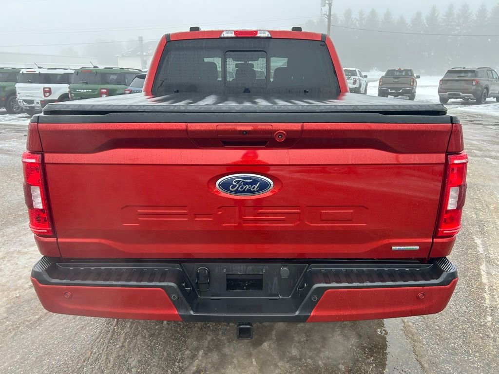 Used 2023 Ford F150 XLT w/ Equipment Group 302A High image 6