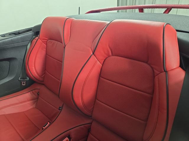 Used 2019 Ford Mustang GT Premium w/ Equipment Group 401A RWD image 15