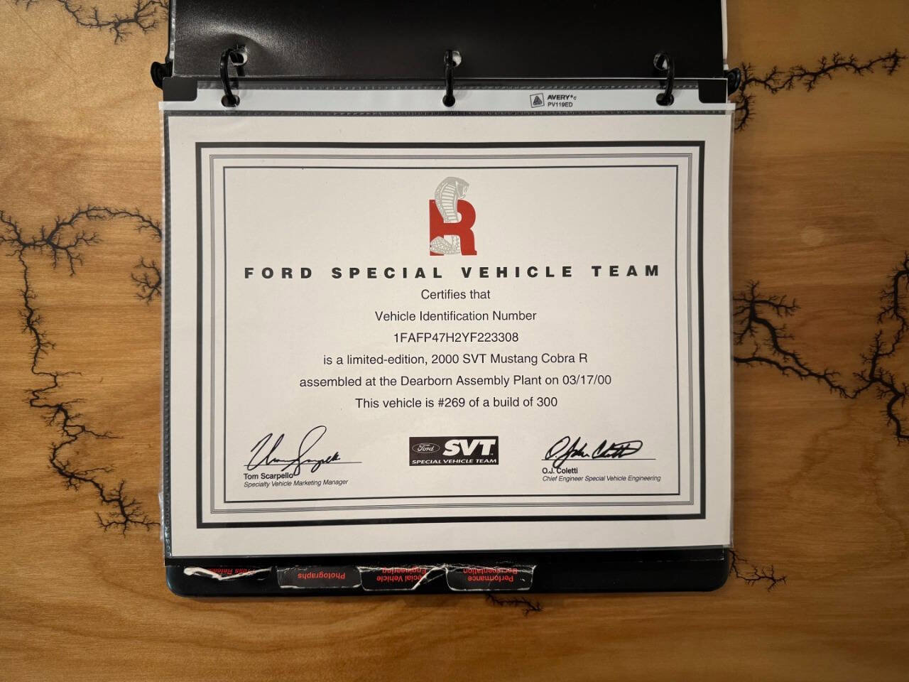 Used 2000 Ford Mustang Cobra RWD image 12