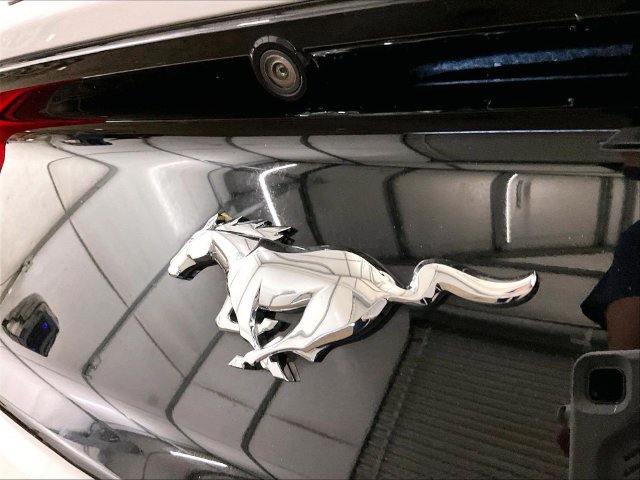 Used 2015 Ford Mustang Premium w/ Equipment Group 201A RWD image 13