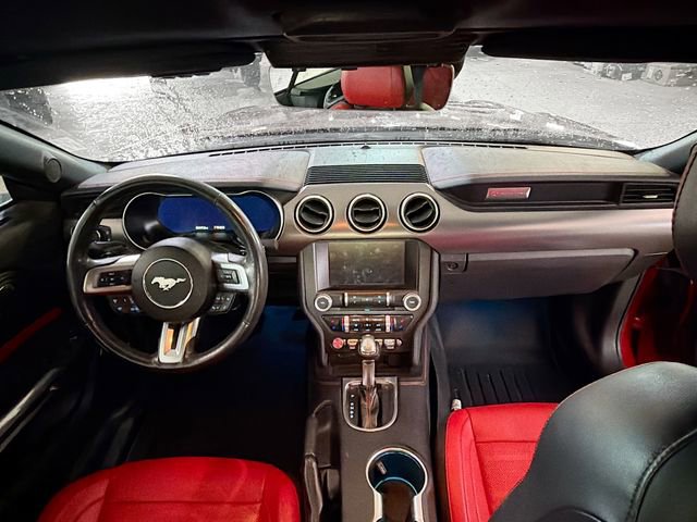 Used 2018 Ford Mustang GT Premium w/ Equipment Group 401A RWD image 10