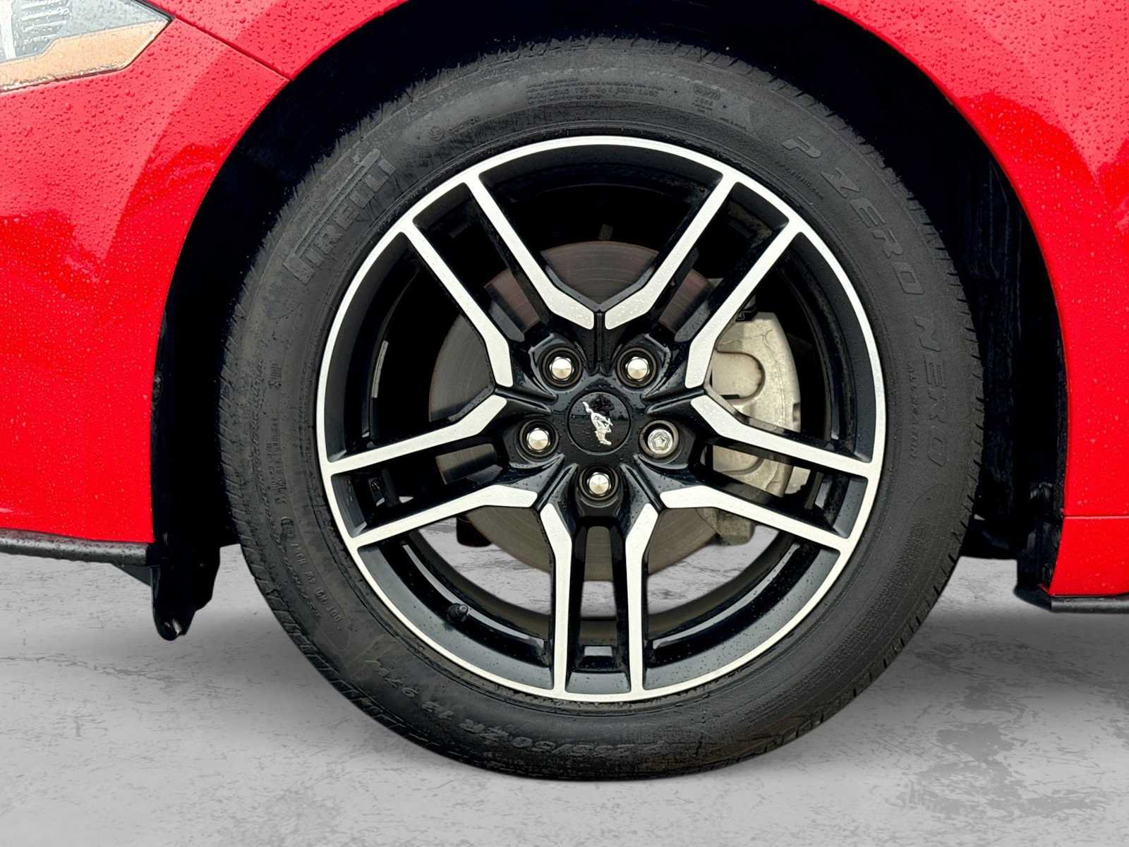 Certified 2019 Ford Mustang Premium w/ Equipment Group 201A RWD image 12