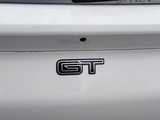 New 2025 Ford Mustang Mach-E GT w/ Interior Protection Package image 24