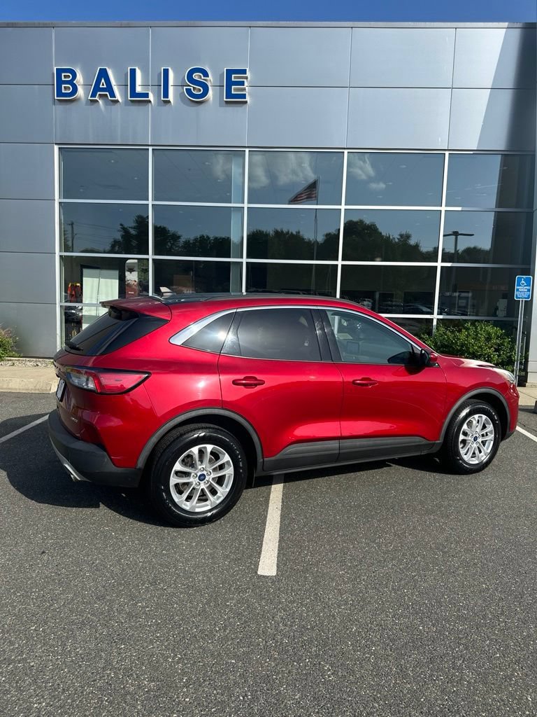 Used 2020 Ford Escape SE AWD/4WD image 4