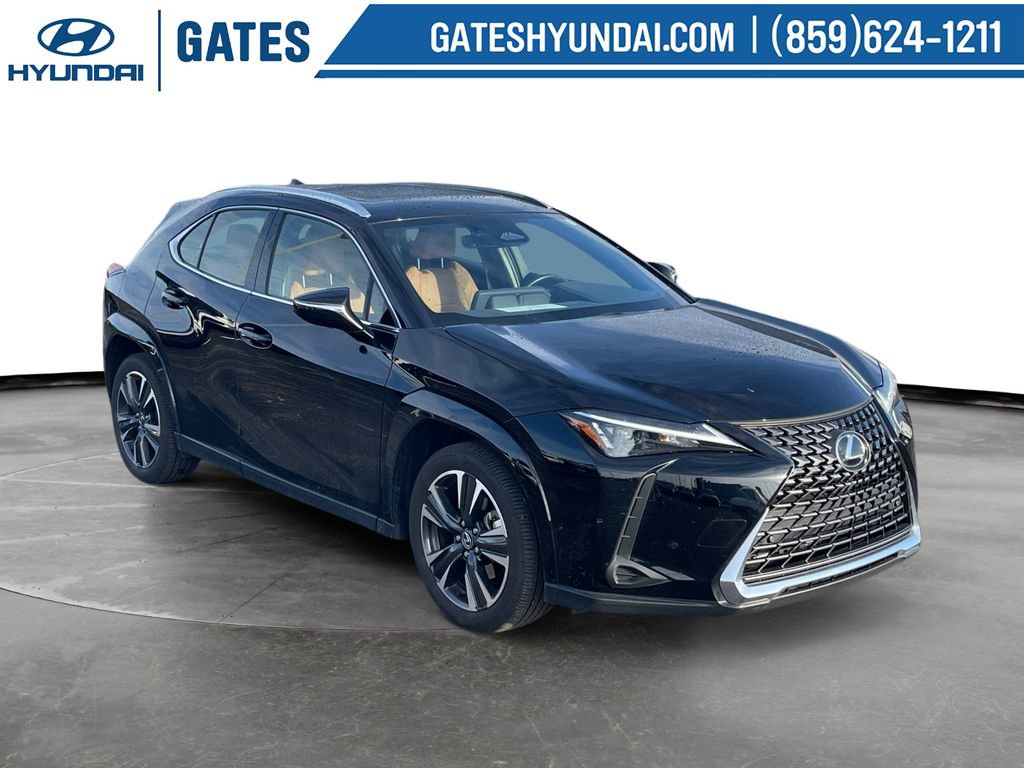 Used 2025 Lexus UX 300h AWD w/ Cold Area Package