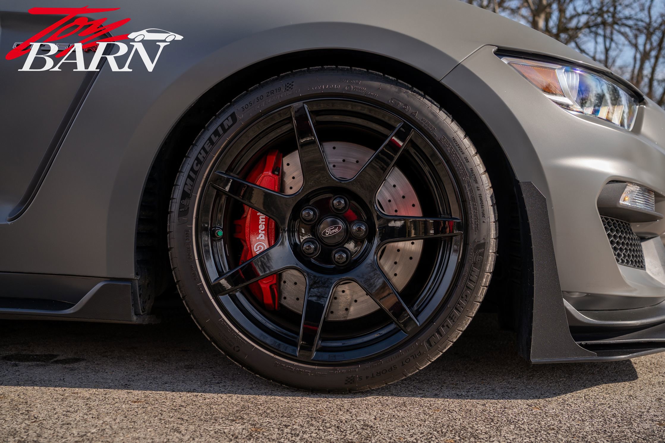 Used 2018 Ford Mustang Shelby GT350R w/ GT350R Equipment Group 920A image 12