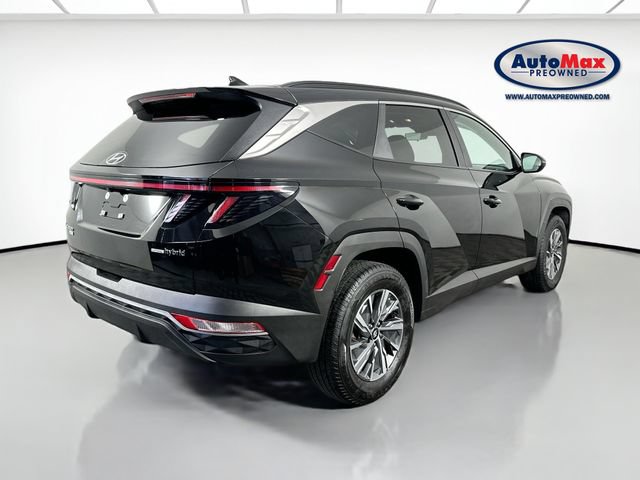 Used 2023 Hyundai Tucson Blue AWD/4WD image 2
