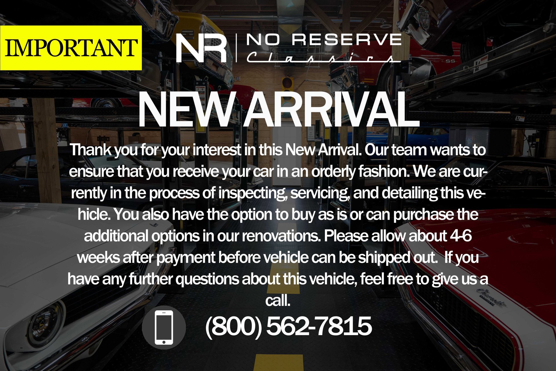 Used 2006 Ford GT image 2