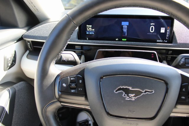 Used 2021 Ford Mustang Mach-E Premium image 15